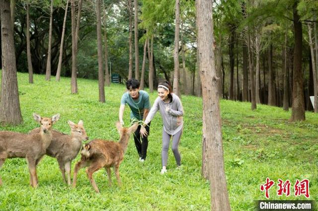游客与动物近距离接触。森波拉景区 供图