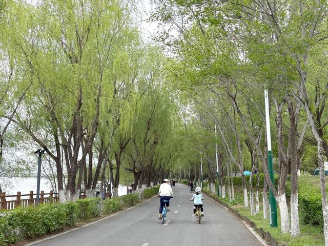 5月2日，市民在辽宁沈阳浑河公园骑行。新华社记者 周华 摄