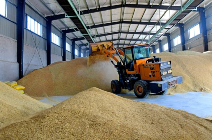 联社的粮食仓储。江澳 摄