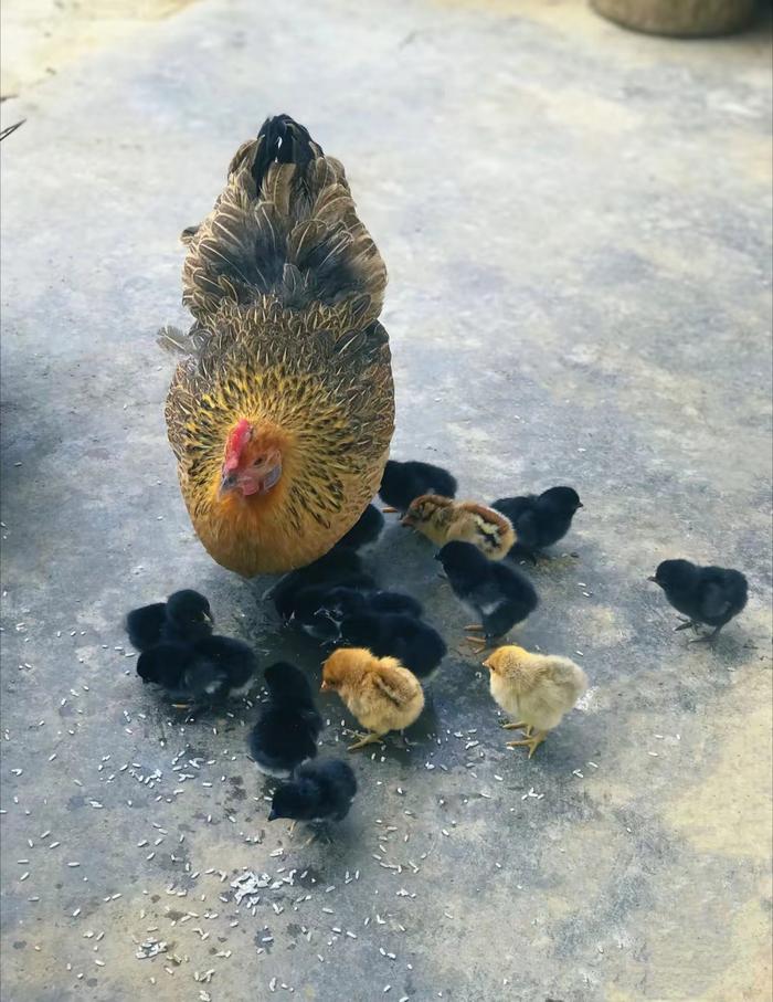 清醒认识自我把握人生方向