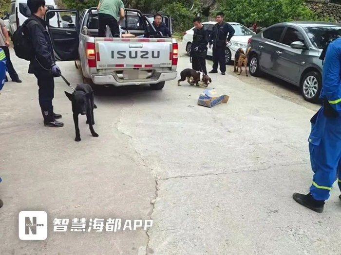 救援力量出动警犬在地面嗅探