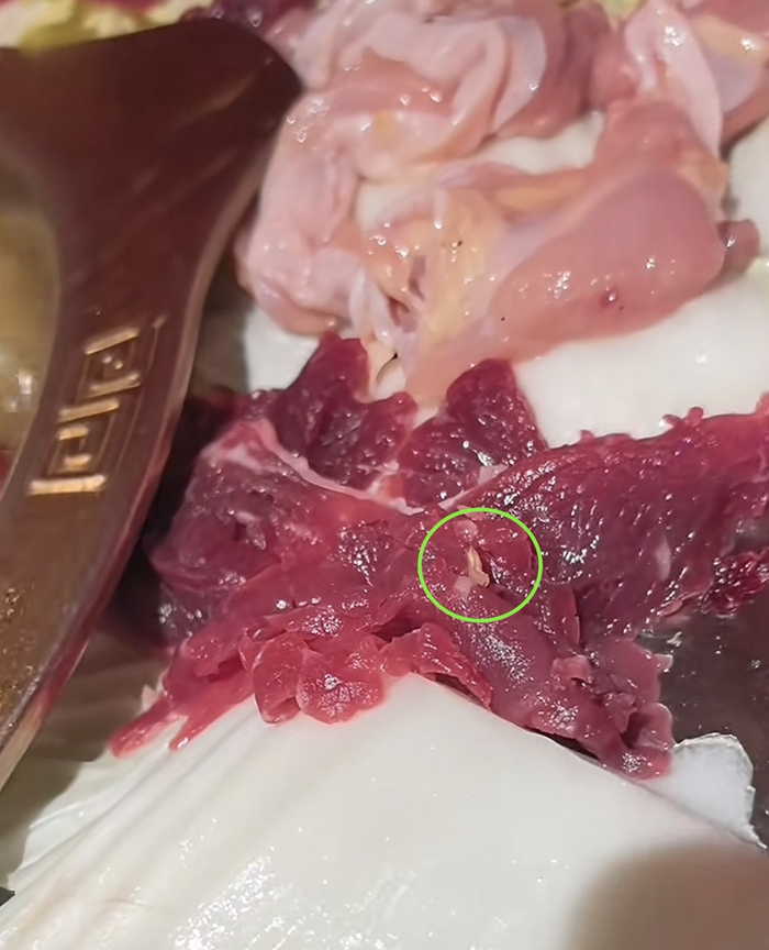 网友称“在菜品里发现了活虫”