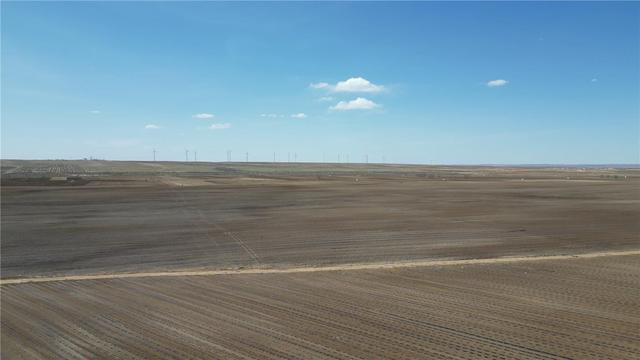 石宝镇红井滩村订单甜菜正在播种。（资料图）