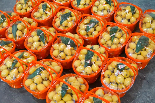 图源：宁波晚报生活号