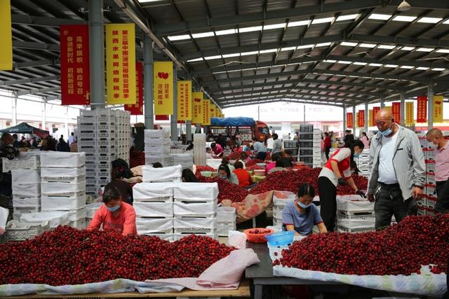 澄城樱桃交易市场。 视觉中国 图