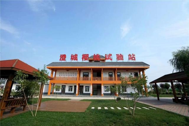 澄城樱桃试验站（国家级）。 “渭南宣传”微信公众号 图