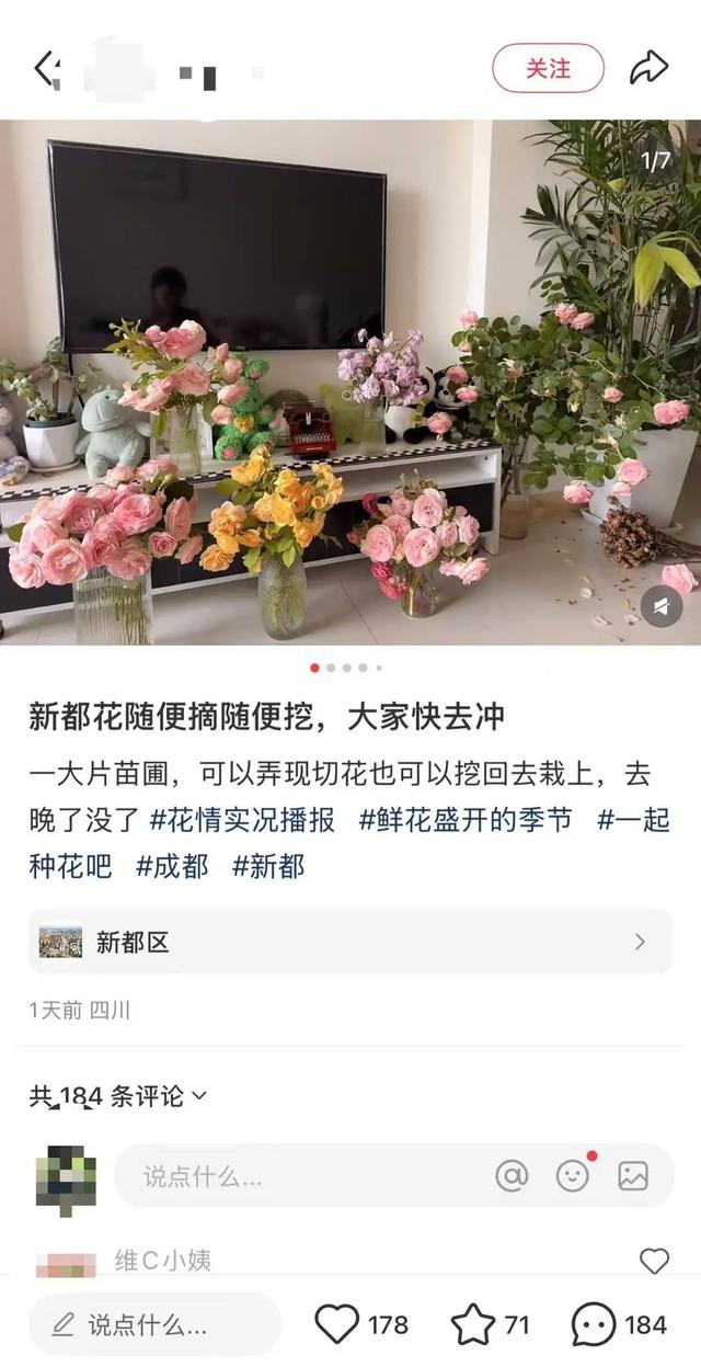 网友发的“新都区免费挖花”帖子