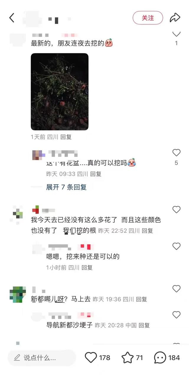 网友发的“新都区免费挖花”帖子
