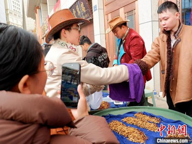 5月7日，青海玖鹰虫草市场内，客商通过揣袖议价的方式购买冬虫夏草。李隽 摄