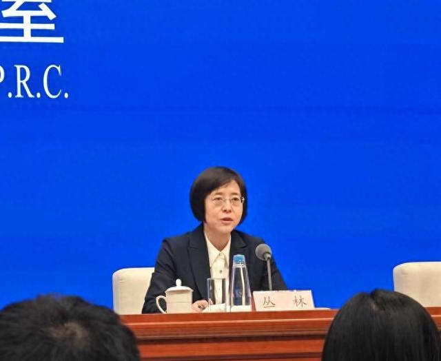 国家金融监督管理总局副局长丛林在发布会上 中青报·中青网记者刘言/摄