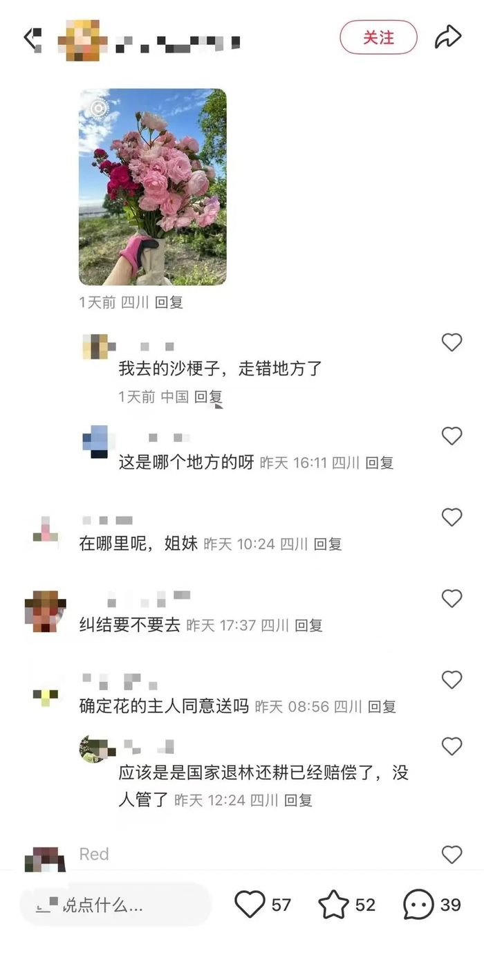 网友发的“新都区免费挖花”帖子