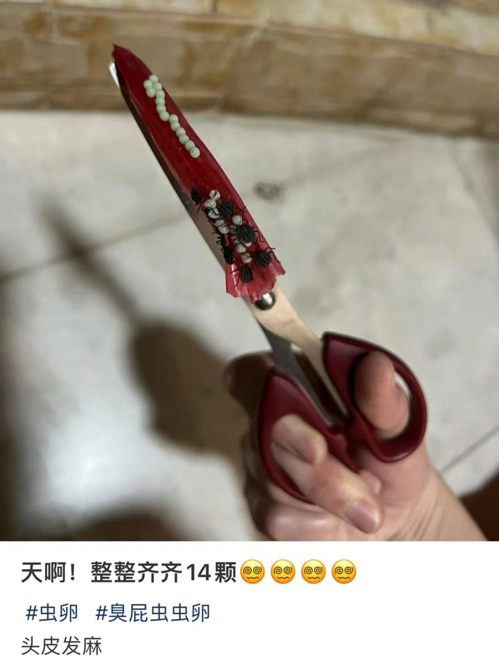 图片来源：小红书用户“来自星星的我”