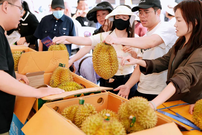 资料图片：市民挑选榴莲。