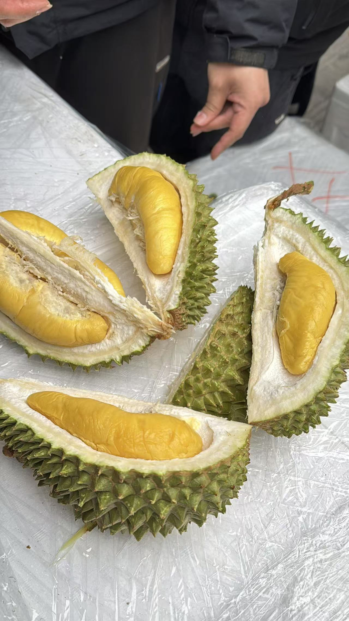 宁波果品批发市场的榴莲。周晖 摄