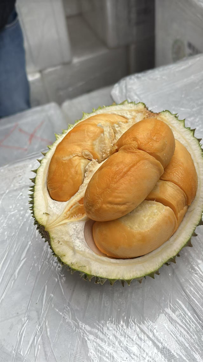 黑刺榴莲是高端榴莲品种。周晖 摄