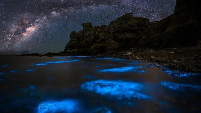 平阳文旅体资讯