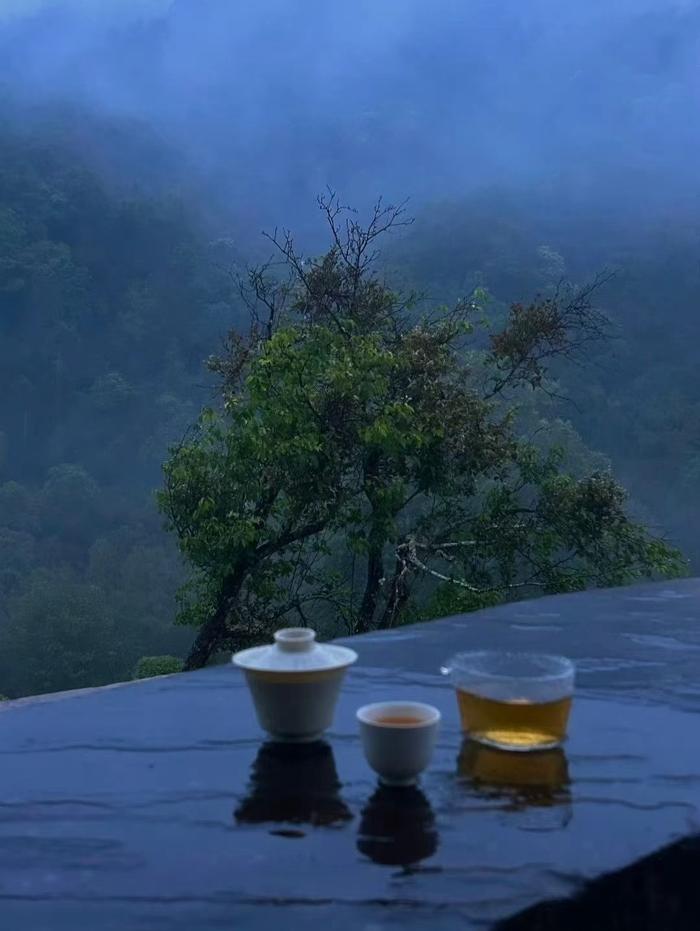 好好生活，远离让你不开心的人和事