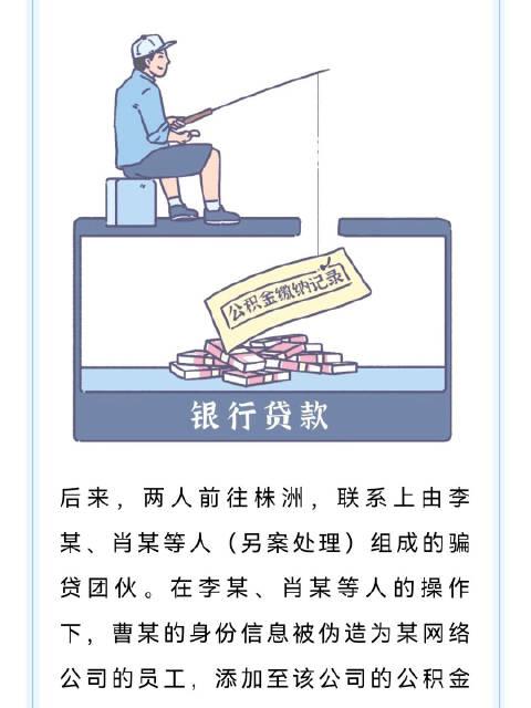 团伙伪造信息骗贷18.43万只分2.4万