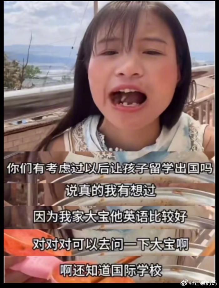 小英不是说要送大宝出国吗？