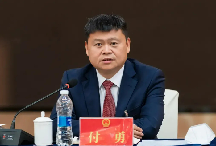 付勇（资料图）