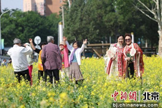 2025年“春花鎏金”油菜花市集在北京北三环安贞拾光主题广场拉开帷幕。记者 富田 摄