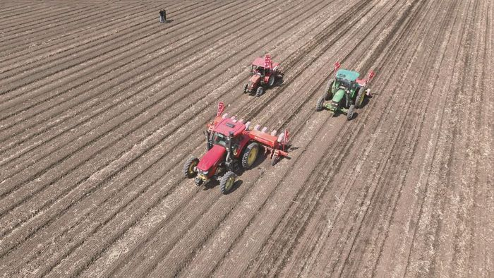 春耕图  图源：龙头新闻·黑龙江日报  摄影：赵宇清