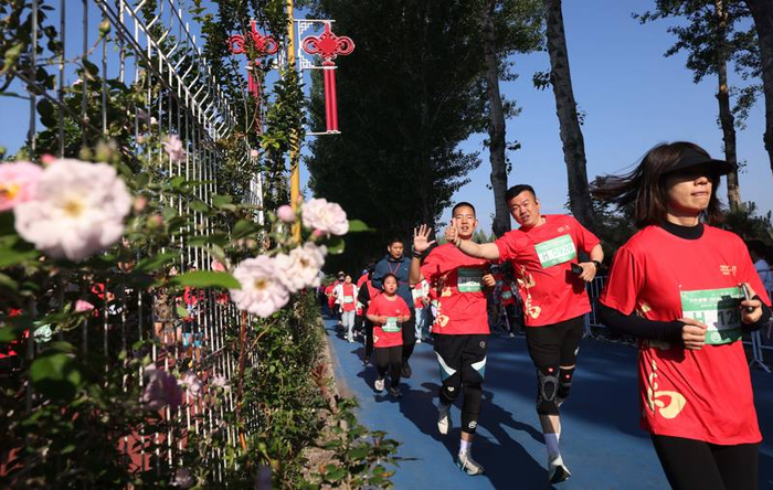 选手奔跑在长达2.5公里的藤本月季花墙赛道中。新京报记者 李木易 摄