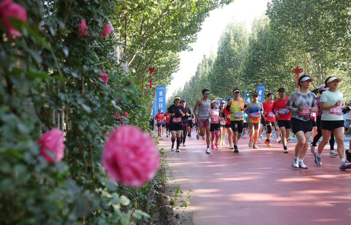 选手们在花海中开跑。新京报记者 李木易 摄