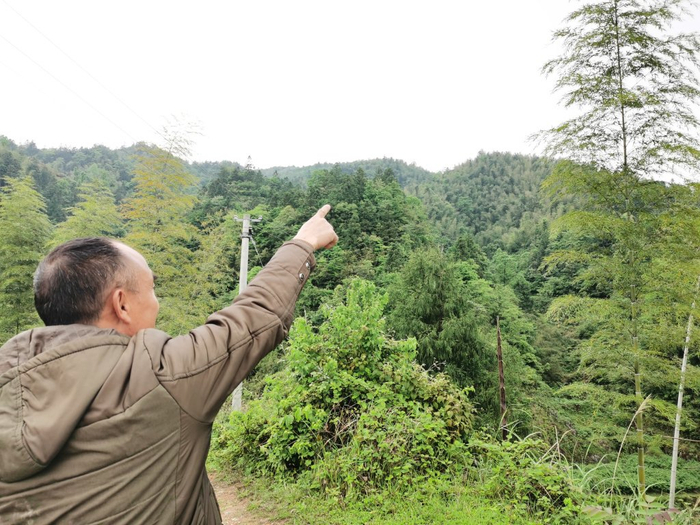 易重纯在山腰间指出事故地点的大概方位