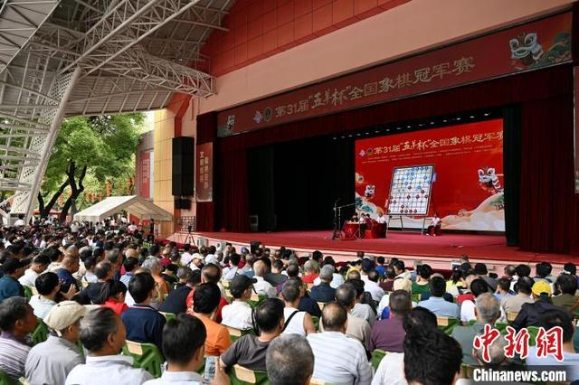 图为第31届“五羊杯”决赛现场。陈楚红 摄