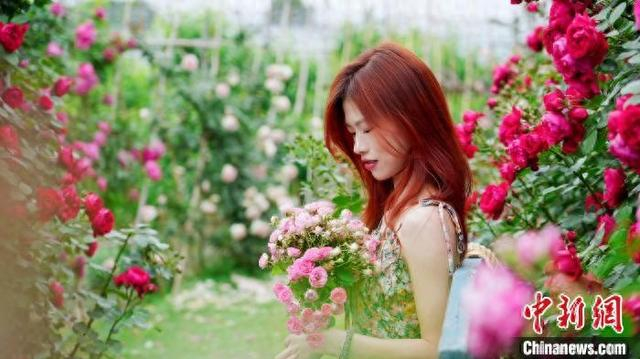 图为共青城市甘露镇坪塘村花圃基地，游客在花圃旁拍照。彭佳敏 摄