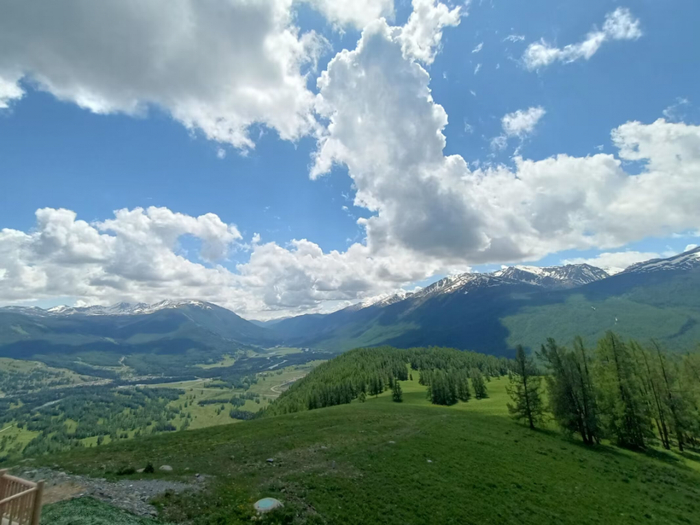 夏季新疆的美景。