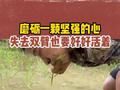 别人都这样了，还在努力，我们有啥抱怨的？