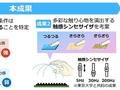 日本NTT与东京大学研发新技术：隔空体验各种触感，有望革新 XR 体验