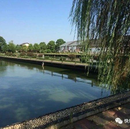 一家不知一家难（实用好文）