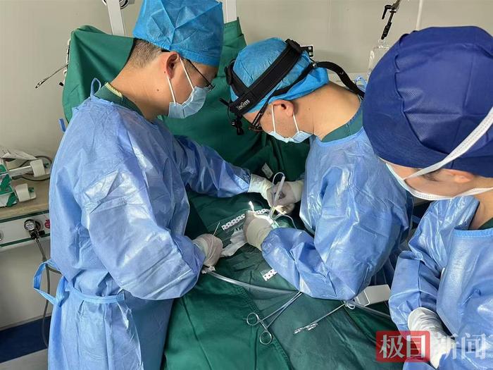 出生体重仅为700克和810克，27周早产双胞胎闯过高难度动脉导管结扎术难关