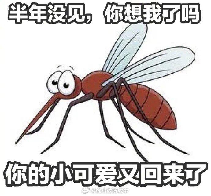 天气一热，蚊子就出来了！