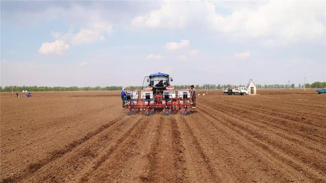 在通辽市科尔沁区敖力布皋镇东喜伯营子村的高标准农业示范区，搭载北斗导航系统的播种机正播种玉米。 记者 鲍庆胜 摄