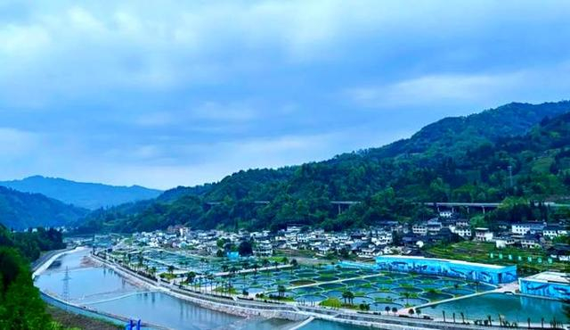 （天全鱼子酱产业园 宣传部供图）