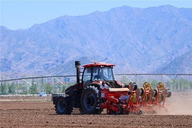在呼和浩特市土默特左旗毕克齐镇的农田里，播种机正在播种作业。记者 马骏驰 摄