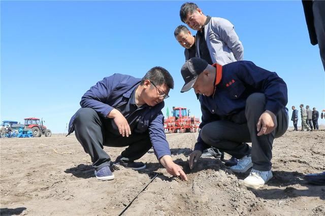 在兴安盟突泉县平原村，农业专家为农民讲解春耕种植技术要领。王永生 摄