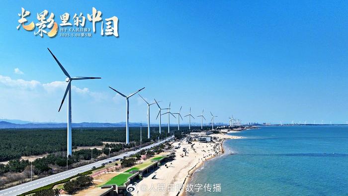 每日晨语 分享一个超绝心态：我允许