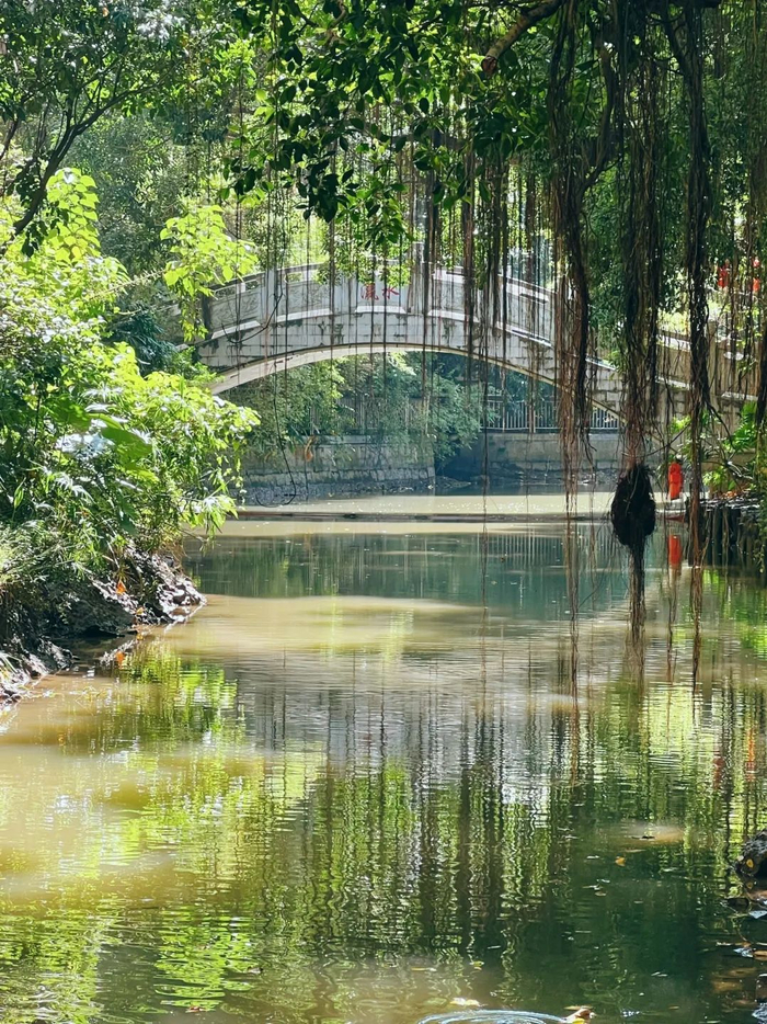 资料图 小洲村岭南水乡景色