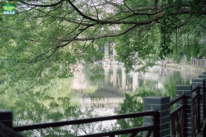 资料图 小洲村岭南水乡景色