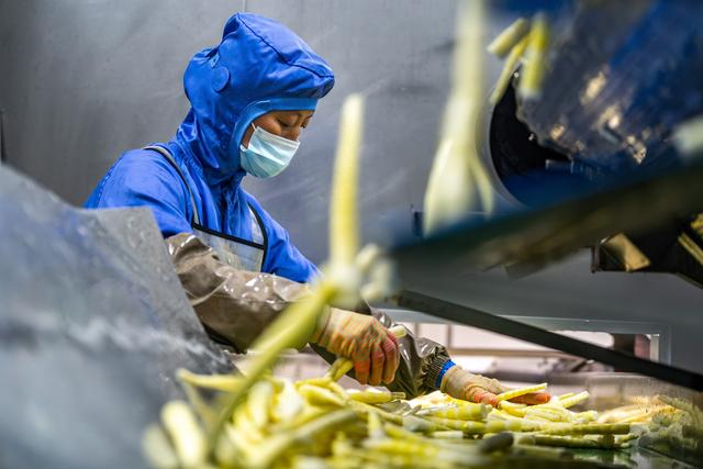 新华社记者 胡超 摄