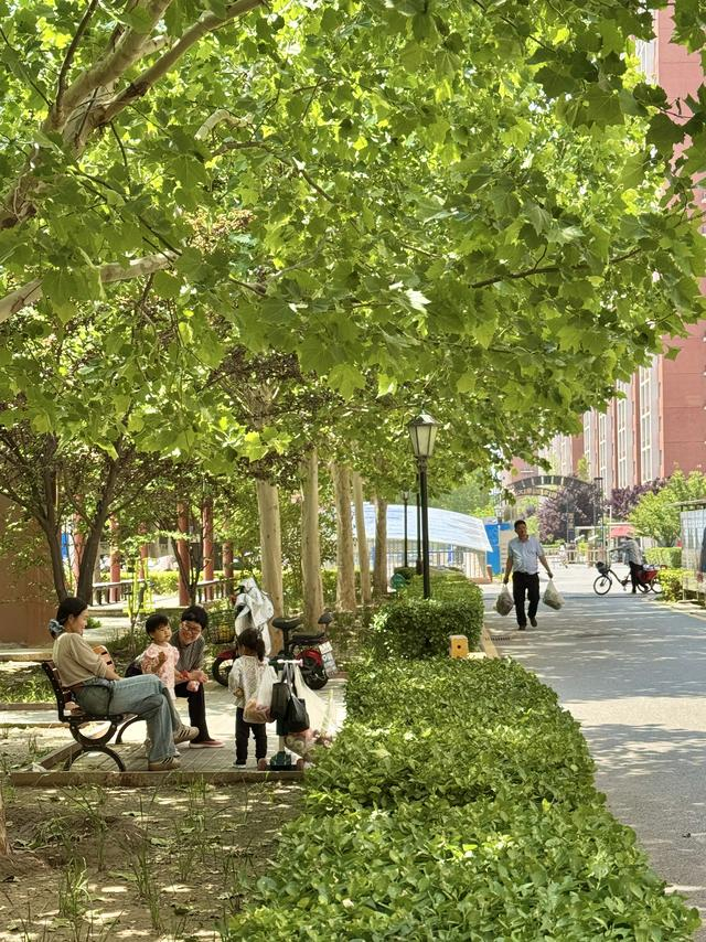 市民正在燕保大学城家园小区休闲。苏益瑶摄