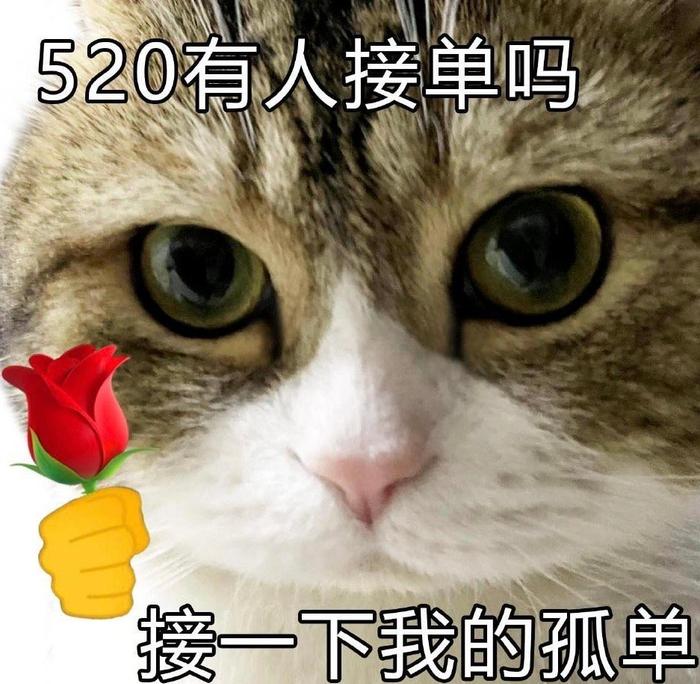 用户热议穿越回520前三天，探讨弥补遗憾与完美仪式