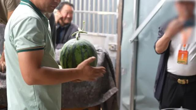 验瓜师韩镇验瓜。图/大河报