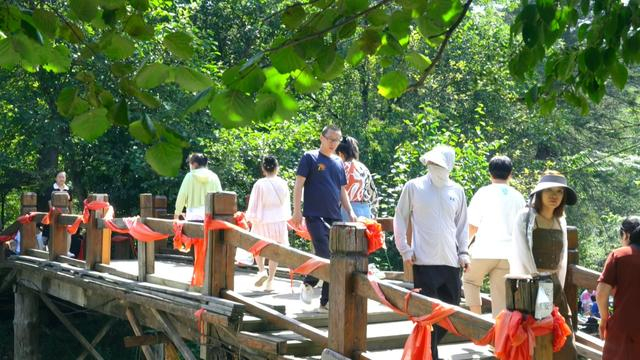 游客在大亮子河国家森林公园游玩（央广网发 汤原县委宣传部供图）