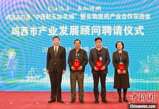 鸡西市政府为赵恒田等四位专家颁发了产业发展顾问聘书。周军 摄